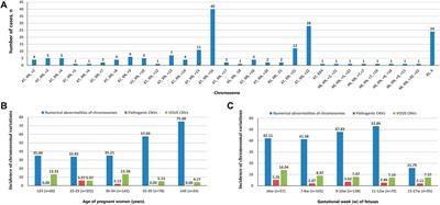 Analysis of Genomic Copy Number Variation in Miscarriages During Early and Middle Pregnancy